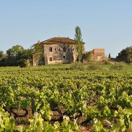 ホテル Mas Castell De Gimenelles Sant Jaume dels Domenys エクステリア 写真