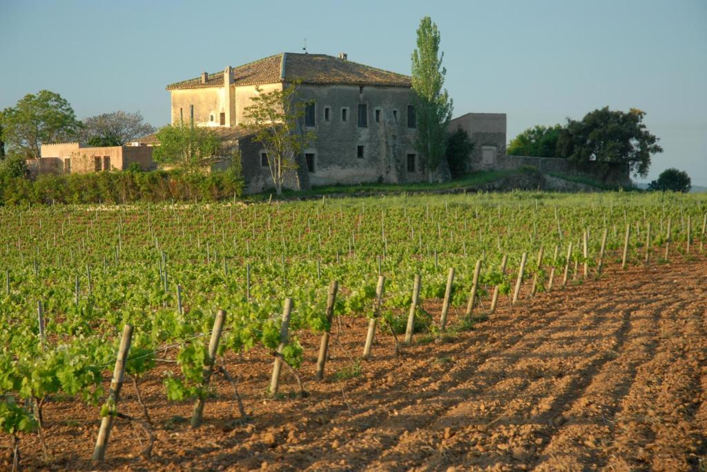 ホテル Mas Castell De Gimenelles Sant Jaume dels Domenys エクステリア 写真